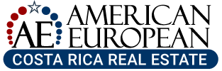 American European Real Estate Group logo