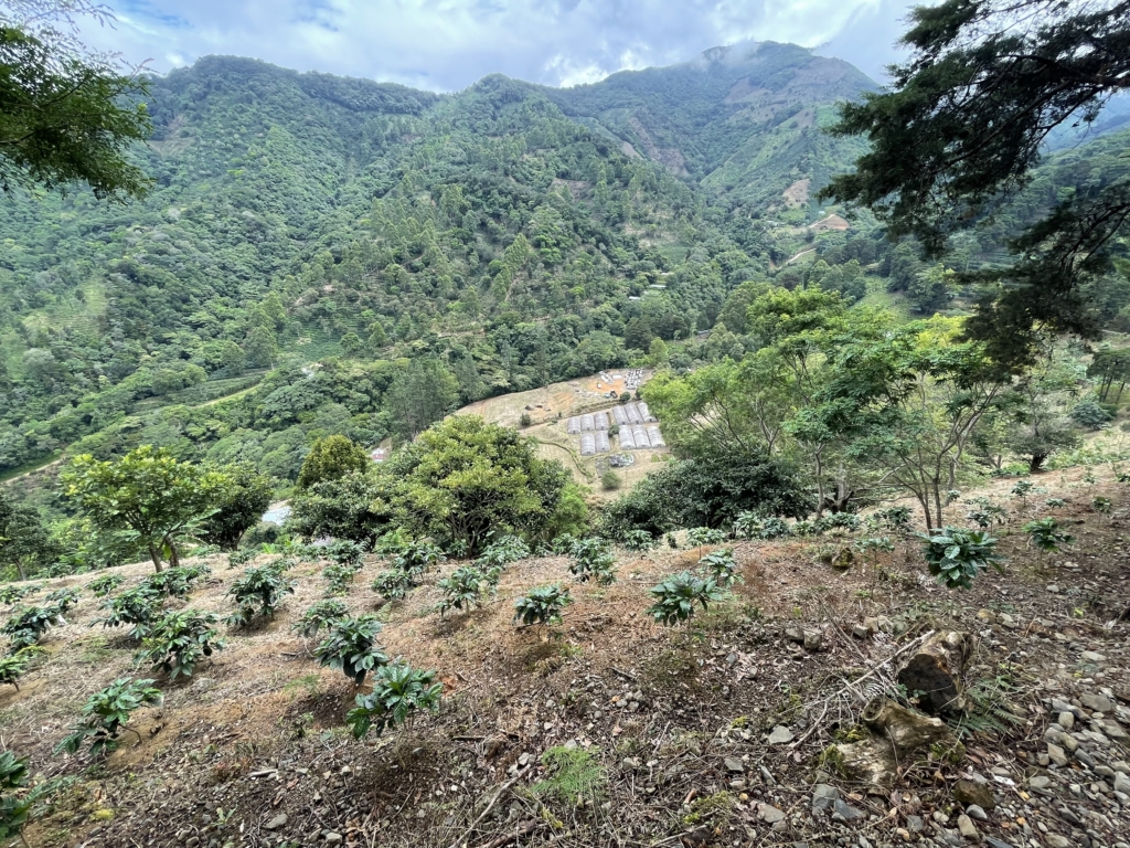 Magnificent 618 Acre Tarrazu Coffee Farm with processing plant