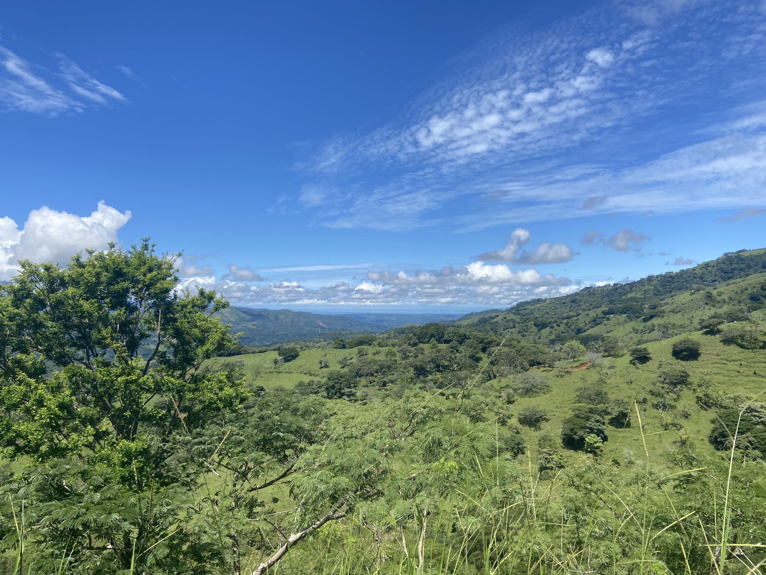 Very affordable 49 acres Escobal farm with lovely views
