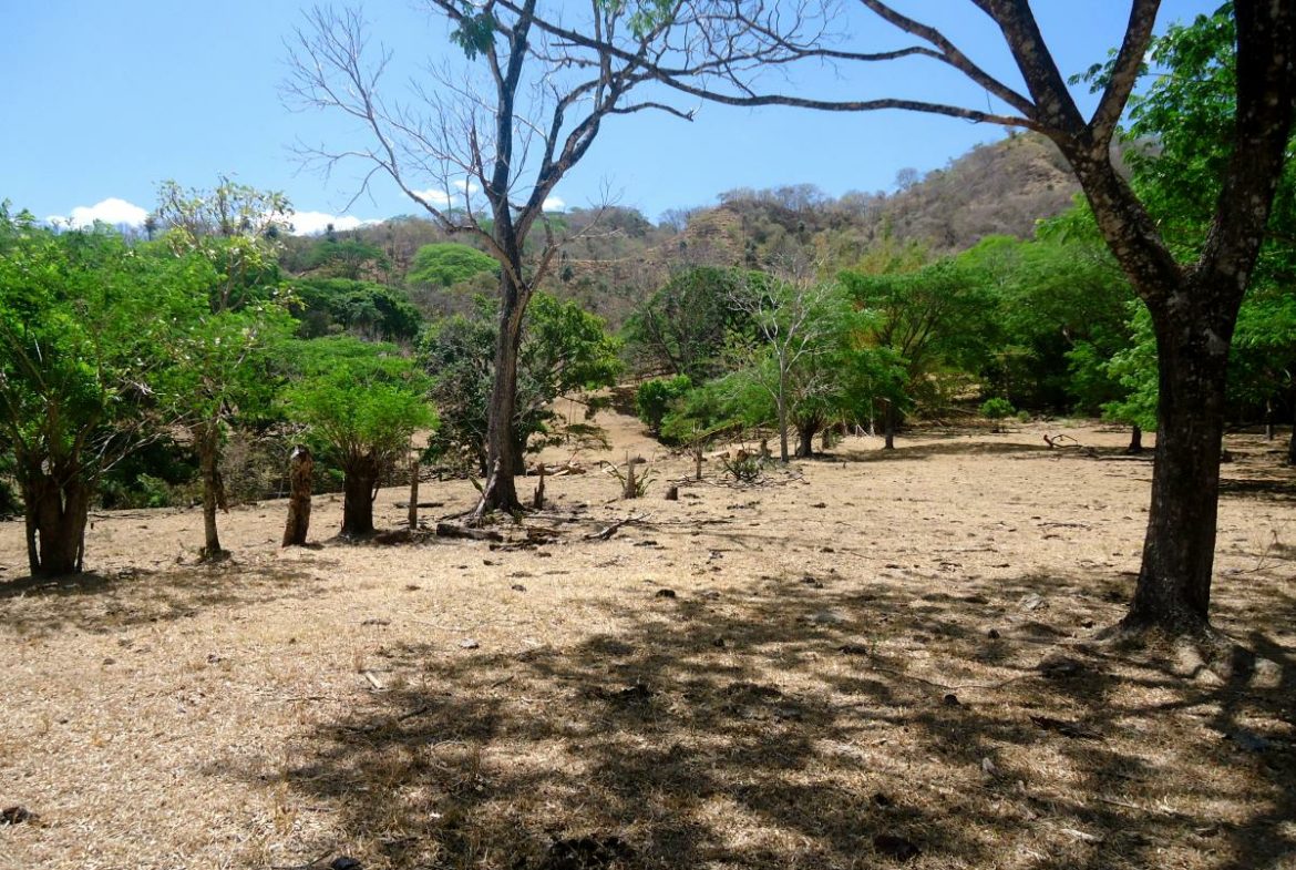 Cheap Development Land near Atenas for sale @ $2.63/m2
