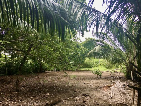 Puerto Jimenez Titled Lot Near Hidden Beach Close To Town