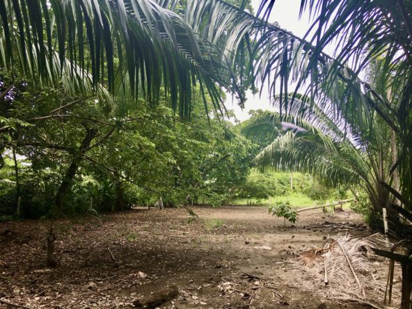 Puerto Jimenez Titled Lot Near Hidden Beach Close To Town