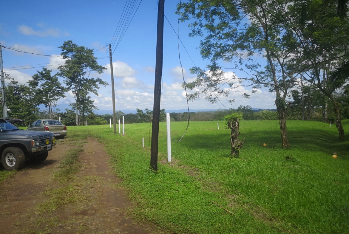 Platanar de Florencia 9 Commercial Properties Package Deal