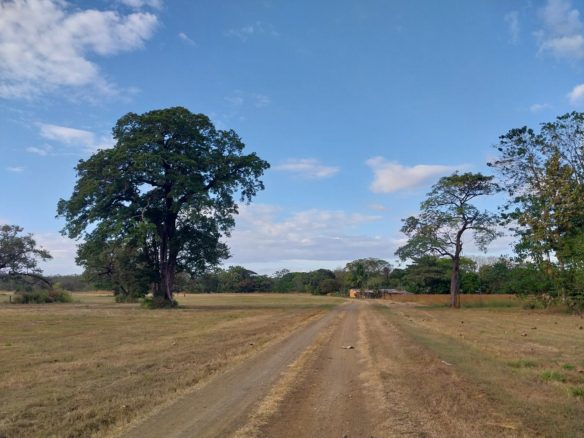 21 Acres Santa Cruz Residential Development Land