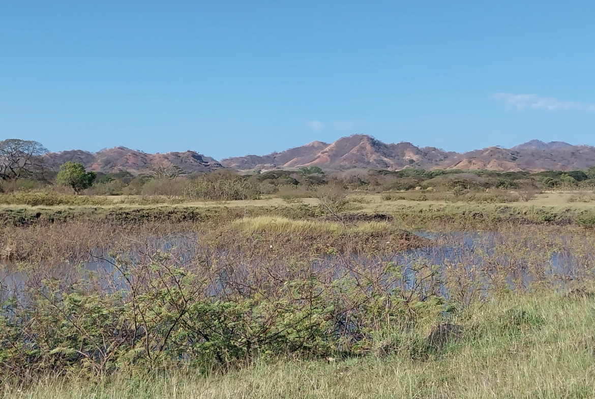 187 Acres Guanacaste Farm with water wells - ideal for cattle or cultivation