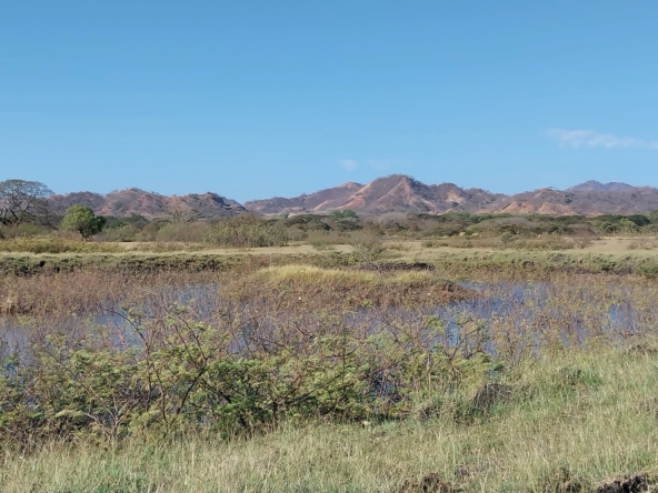 187 Acres Guanacaste Farm with water wells - ideal for cattle or cultivation