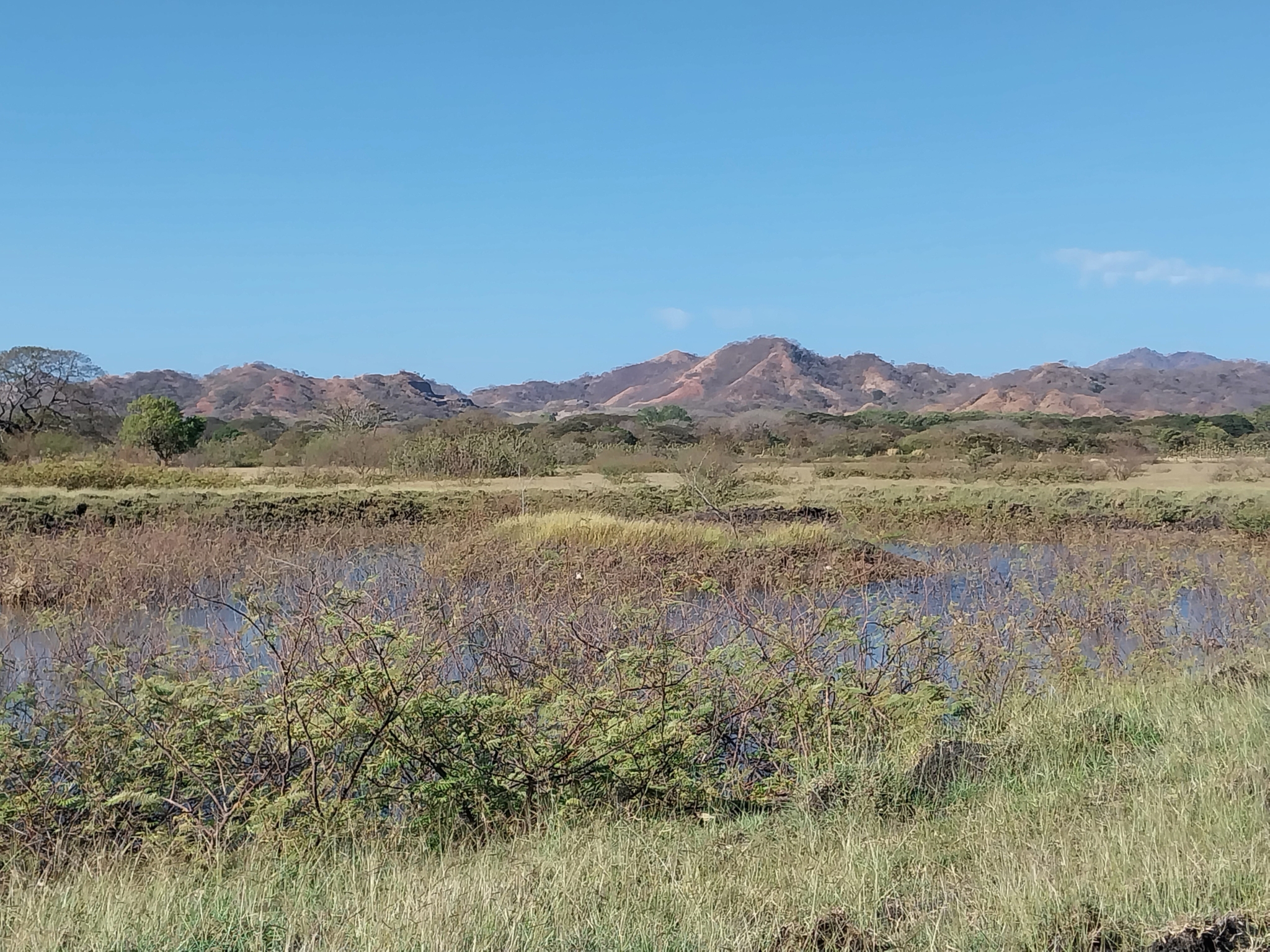 187 Acres Guanacaste Farm with water wells - ideal for cattle or cultivation