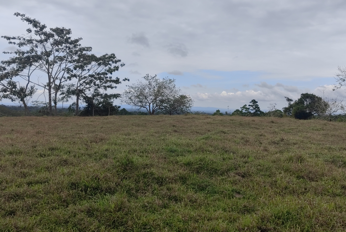 Sarapiqui 5 Acres for Cattle or Glamping