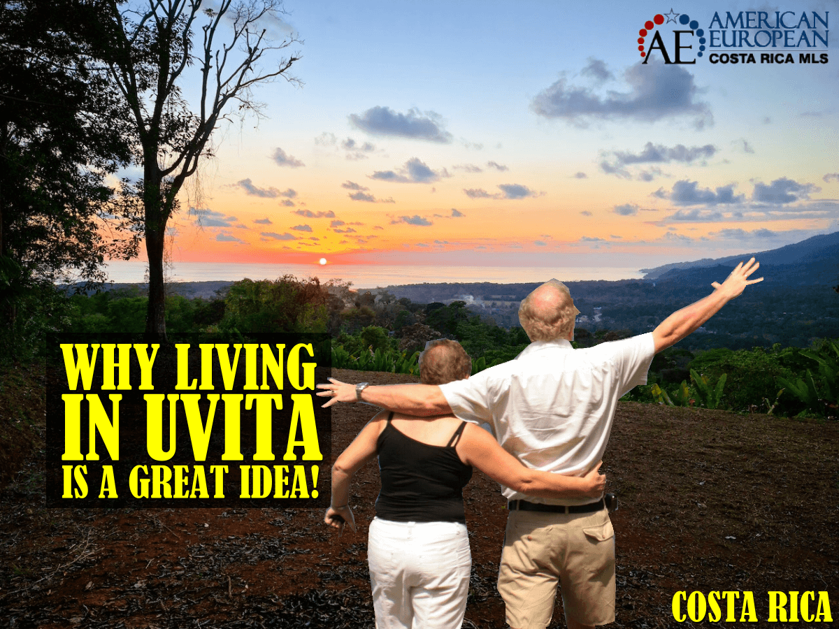 Discover Uvita - an Abundance of Wildlife