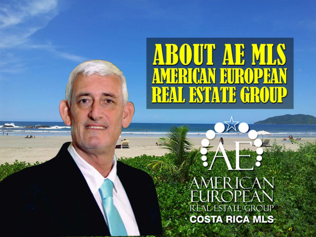 about American European Real Estate group