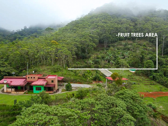 3 BR Perez Zeledon Mountain Home on 40 Acres with Waterfall