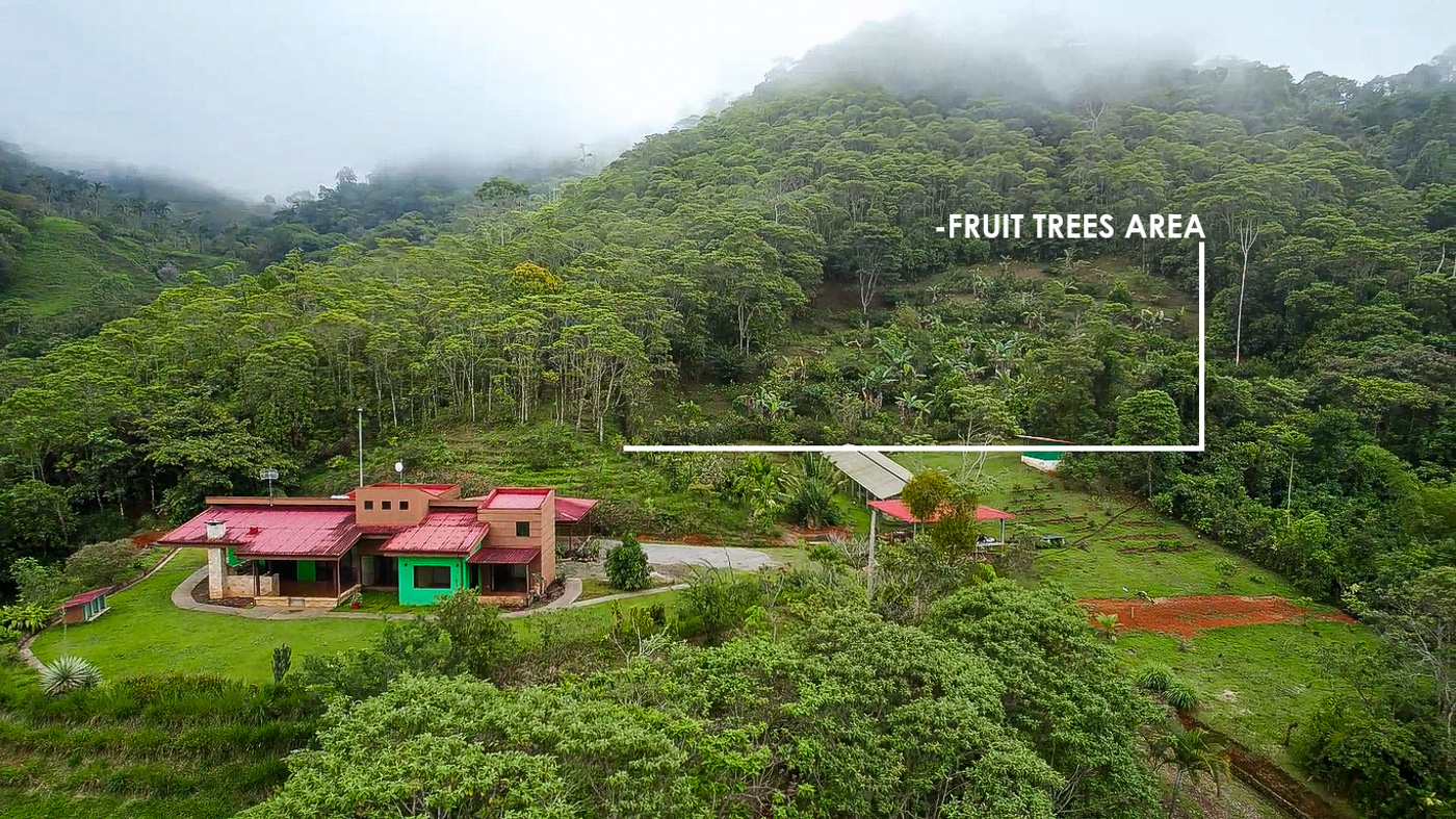 3 BR Perez Zeledon Mountain Home on 40 Acres with Waterfall