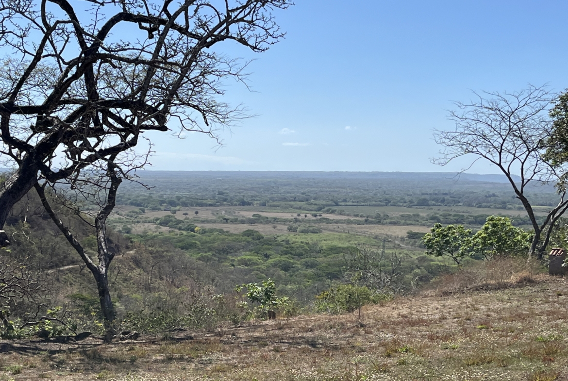 Spectacular Valley View Lots in Papagayo Condominium