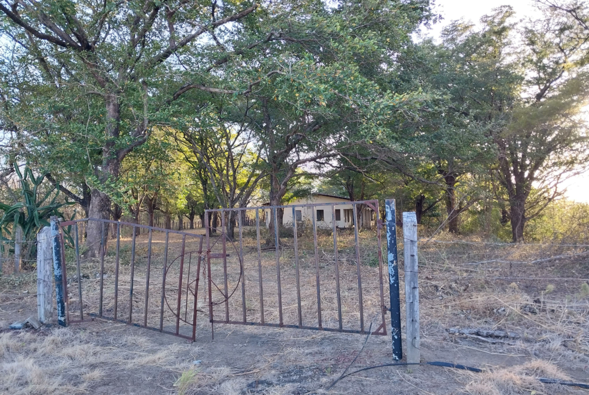 38 Acre Bagaces Farm on the Panamerican Highway