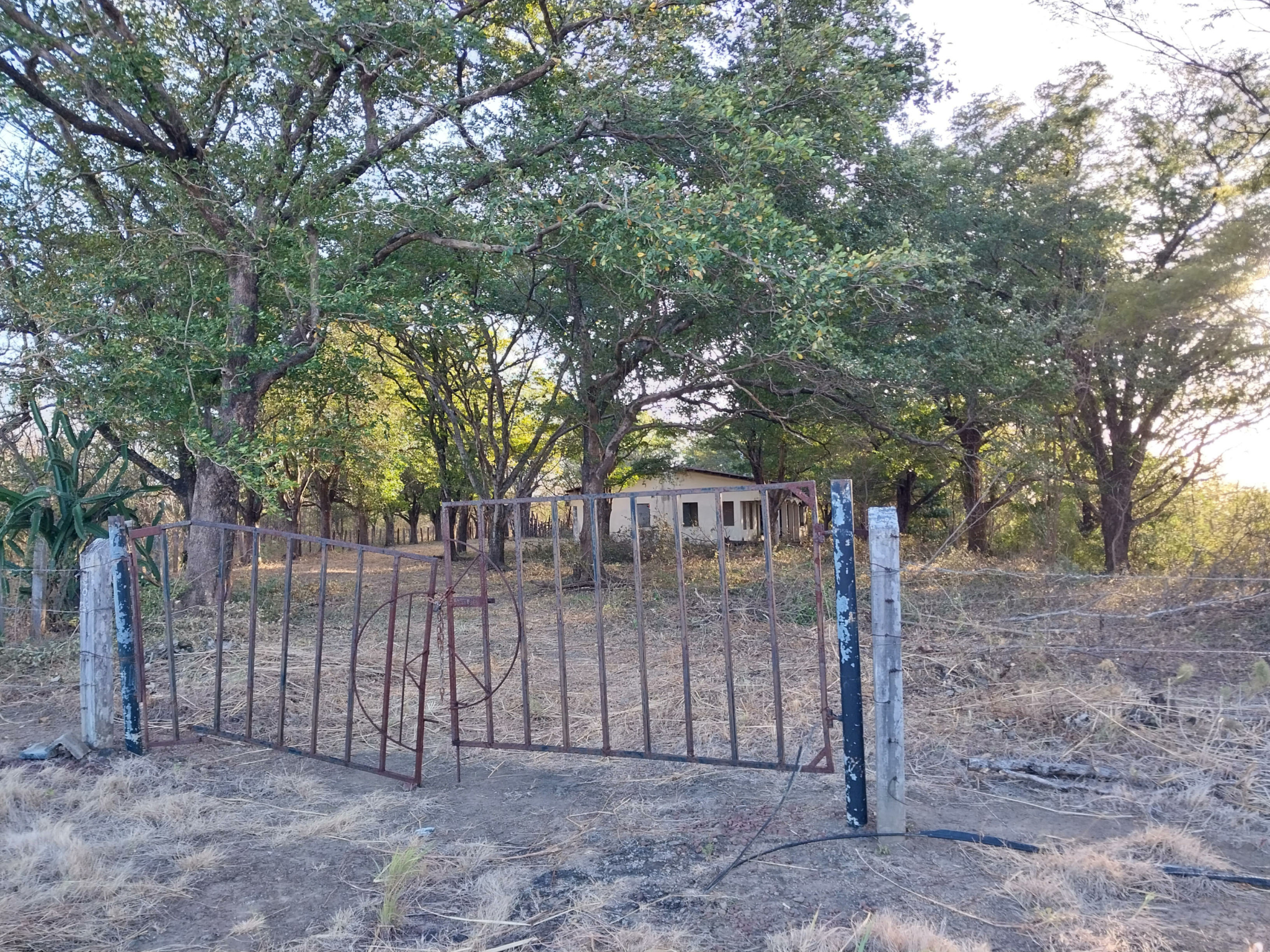 38 Acre Bagaces Farm on the Panamerican Highway