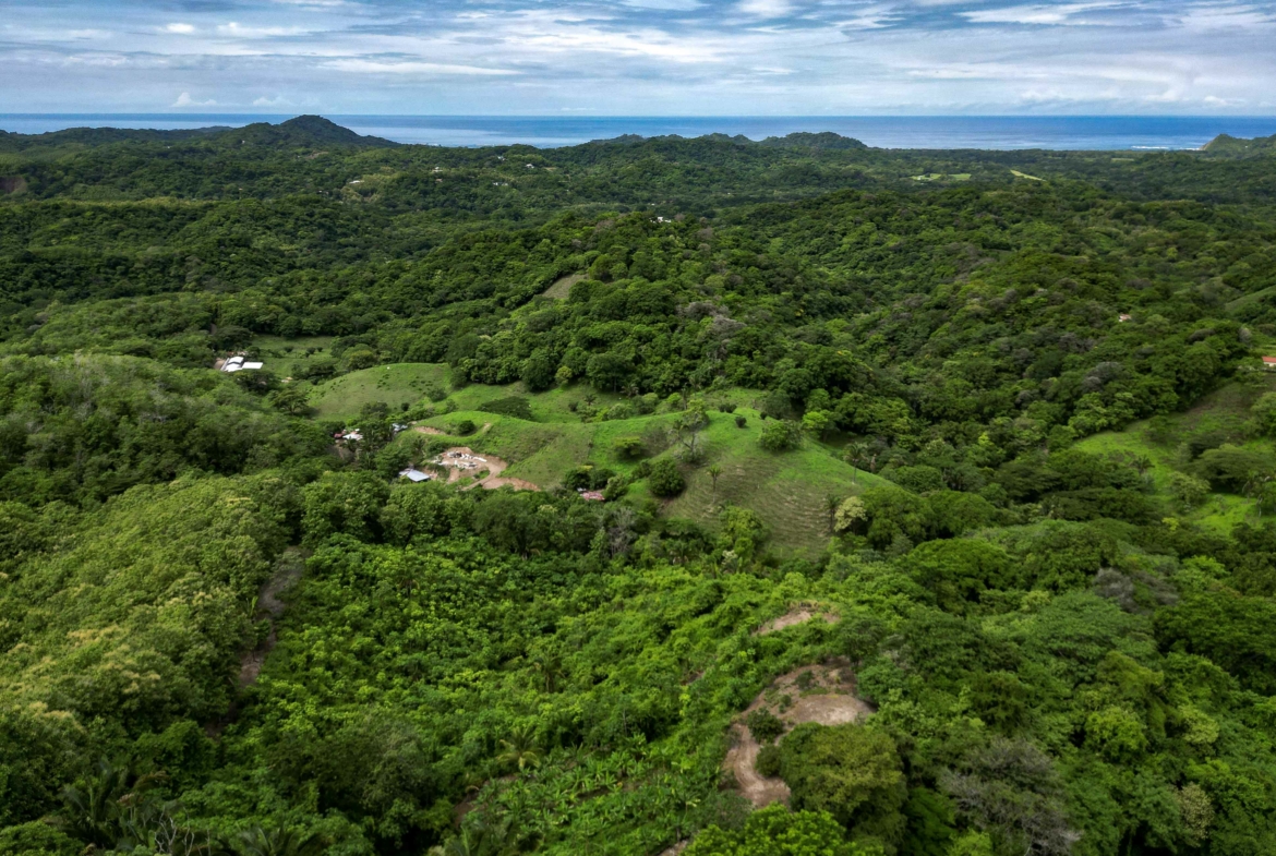 Samara 125 Acre Stunning Ocean View Farm