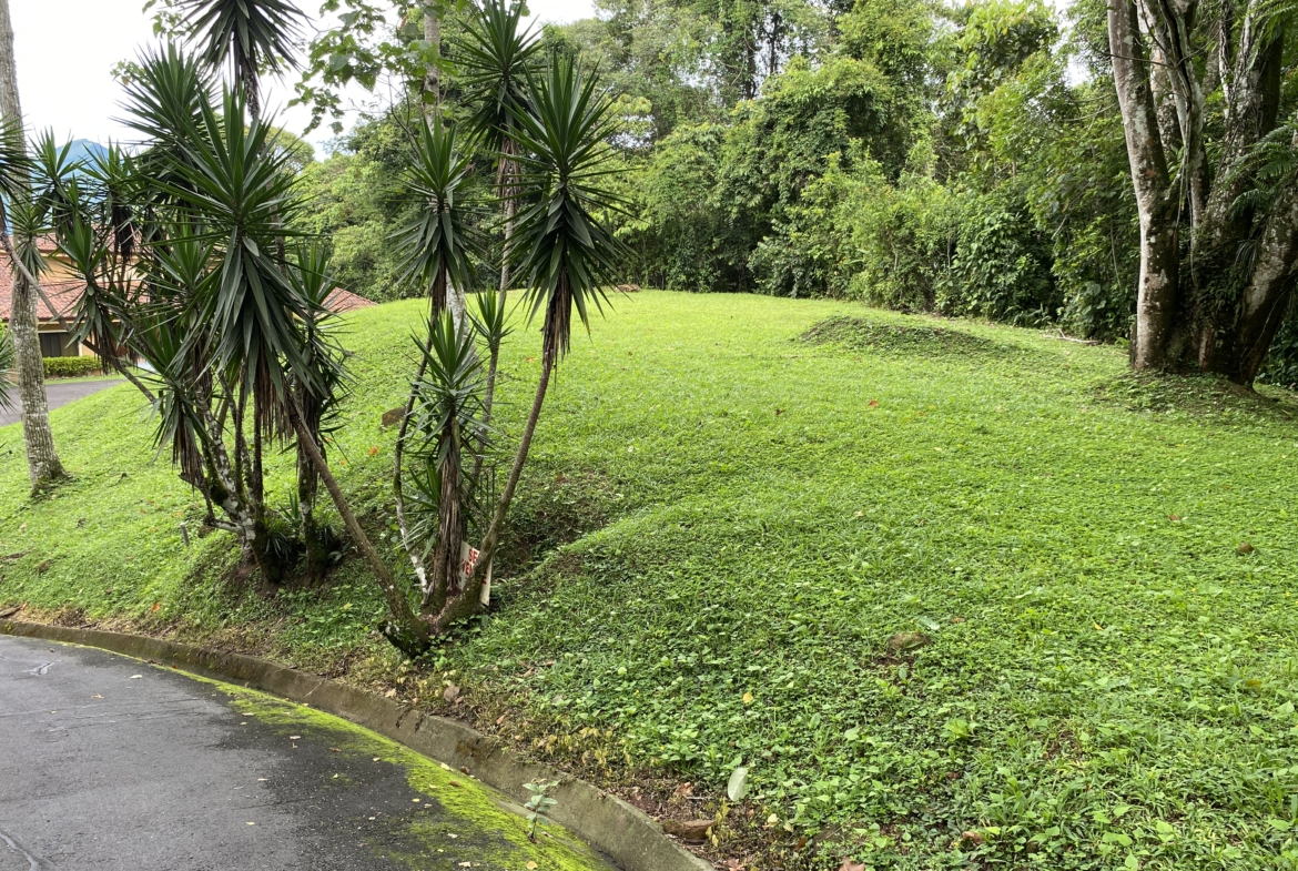 Puriscal Upscale Gated Community 2 Acre Building Lot