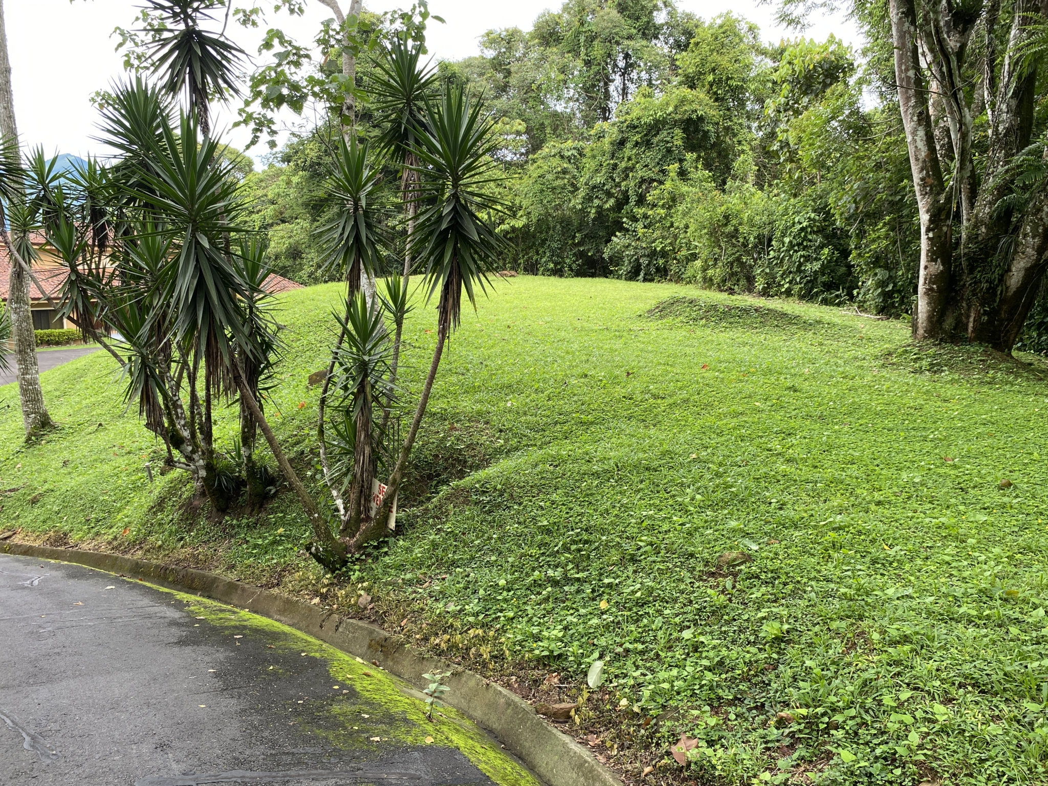 Puriscal Upscale Gated Community 2 Acre Building Lot