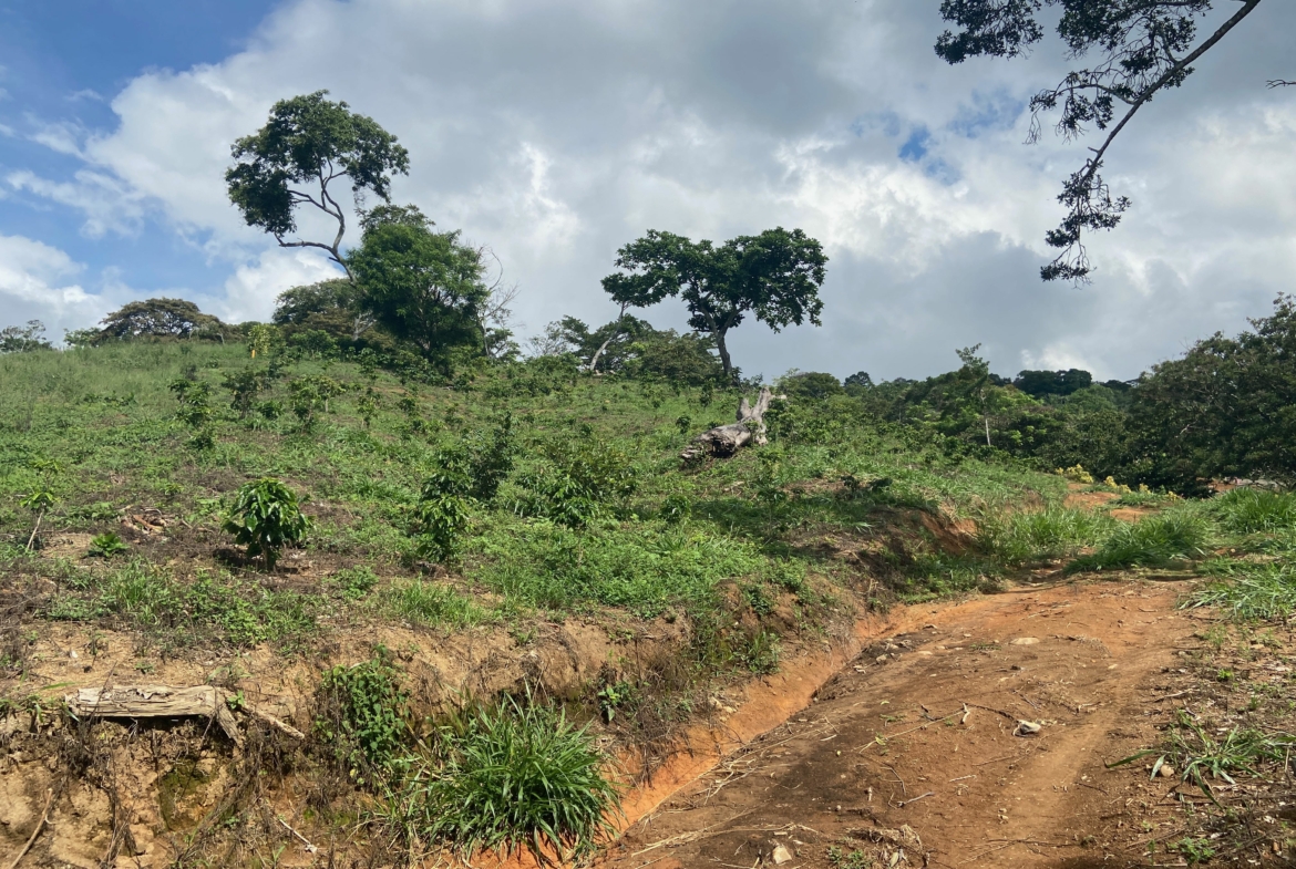 Large 2-acre Atenas Building Lot with Views