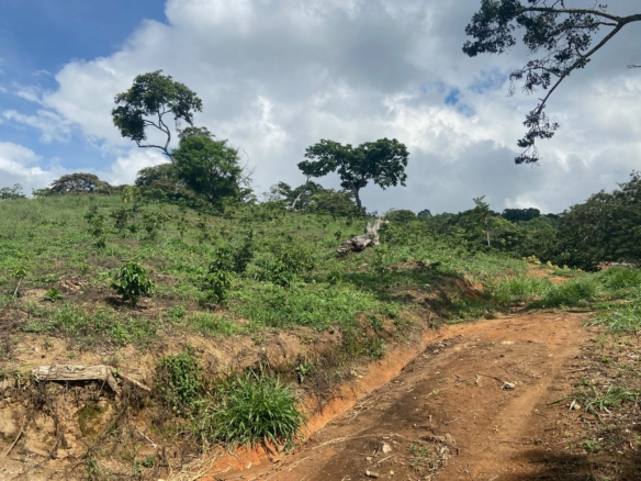 Large 2-acre Atenas Building Lot with Views