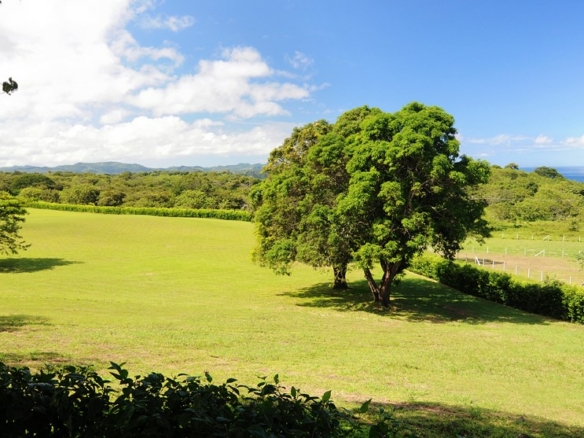 Gorgeous Papagayo Bahia Culebra Ocean View Lots