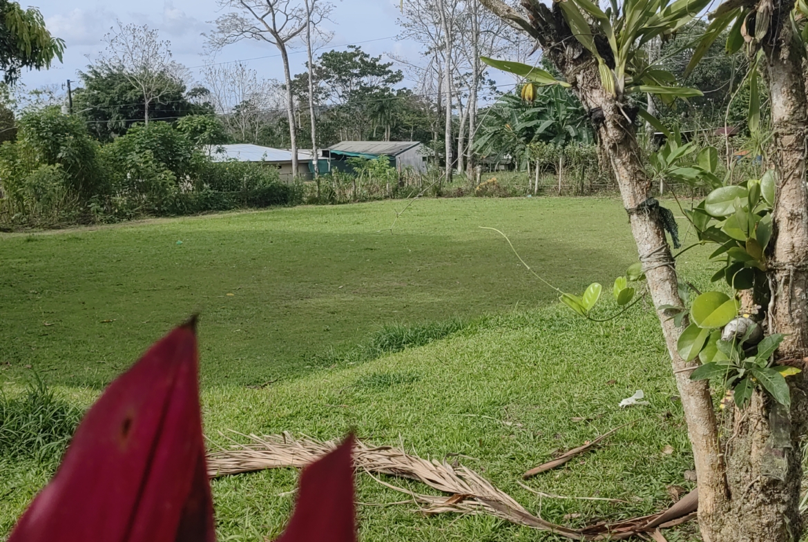 San Carlos Flat Commercial property with 4 Cabins and Old House