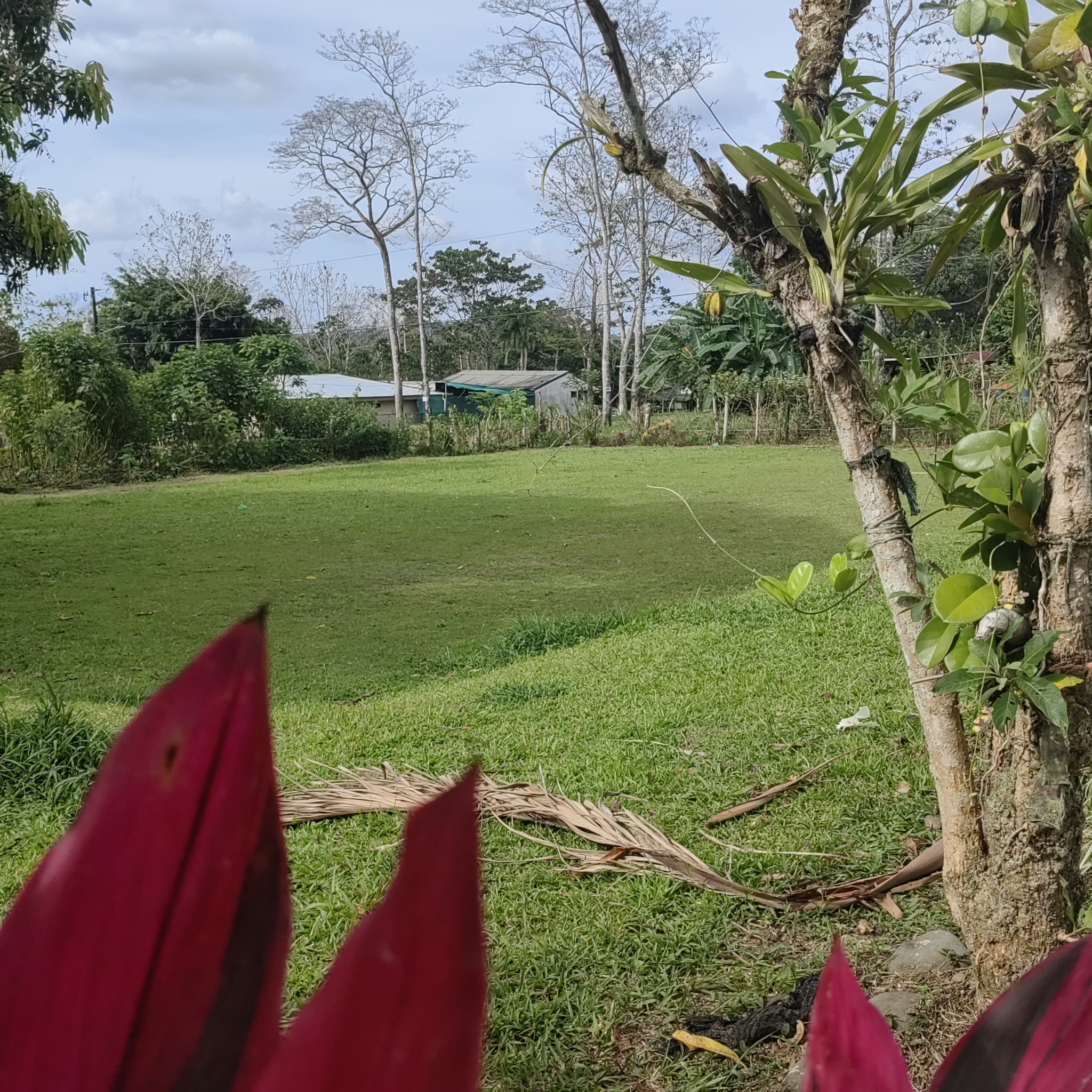 San Carlos Flat Commercial property with 4 Cabins and Old House