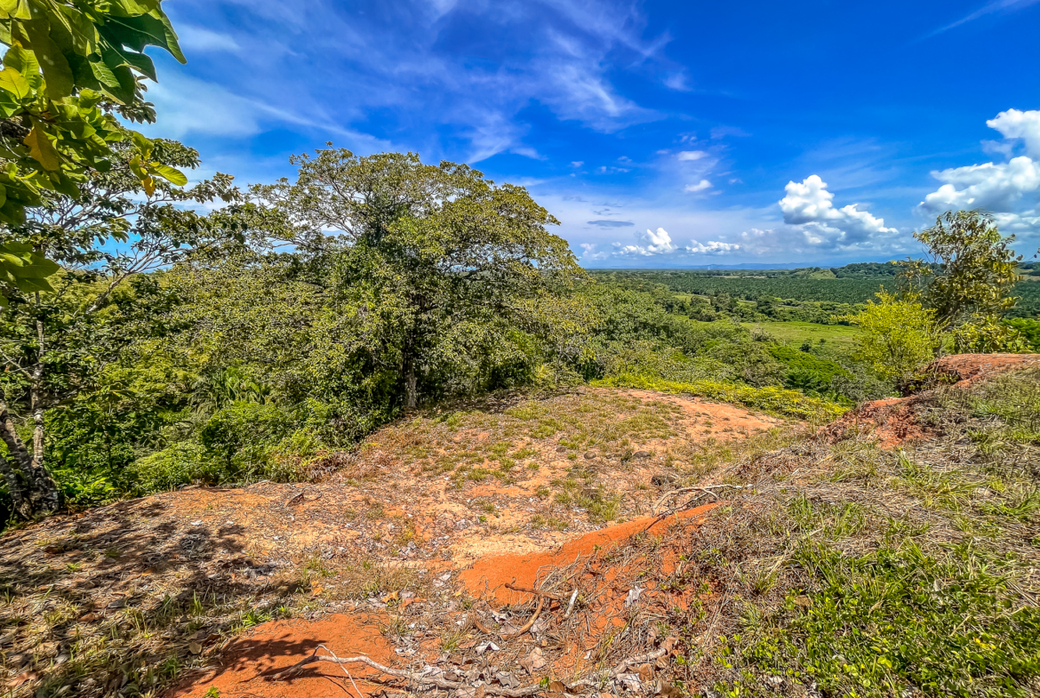 Over 3 Acre Building lot in Exclusive South Pacific Community