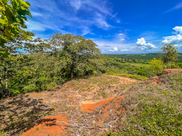 Over 3 Acre Building lot in Exclusive South Pacific Community