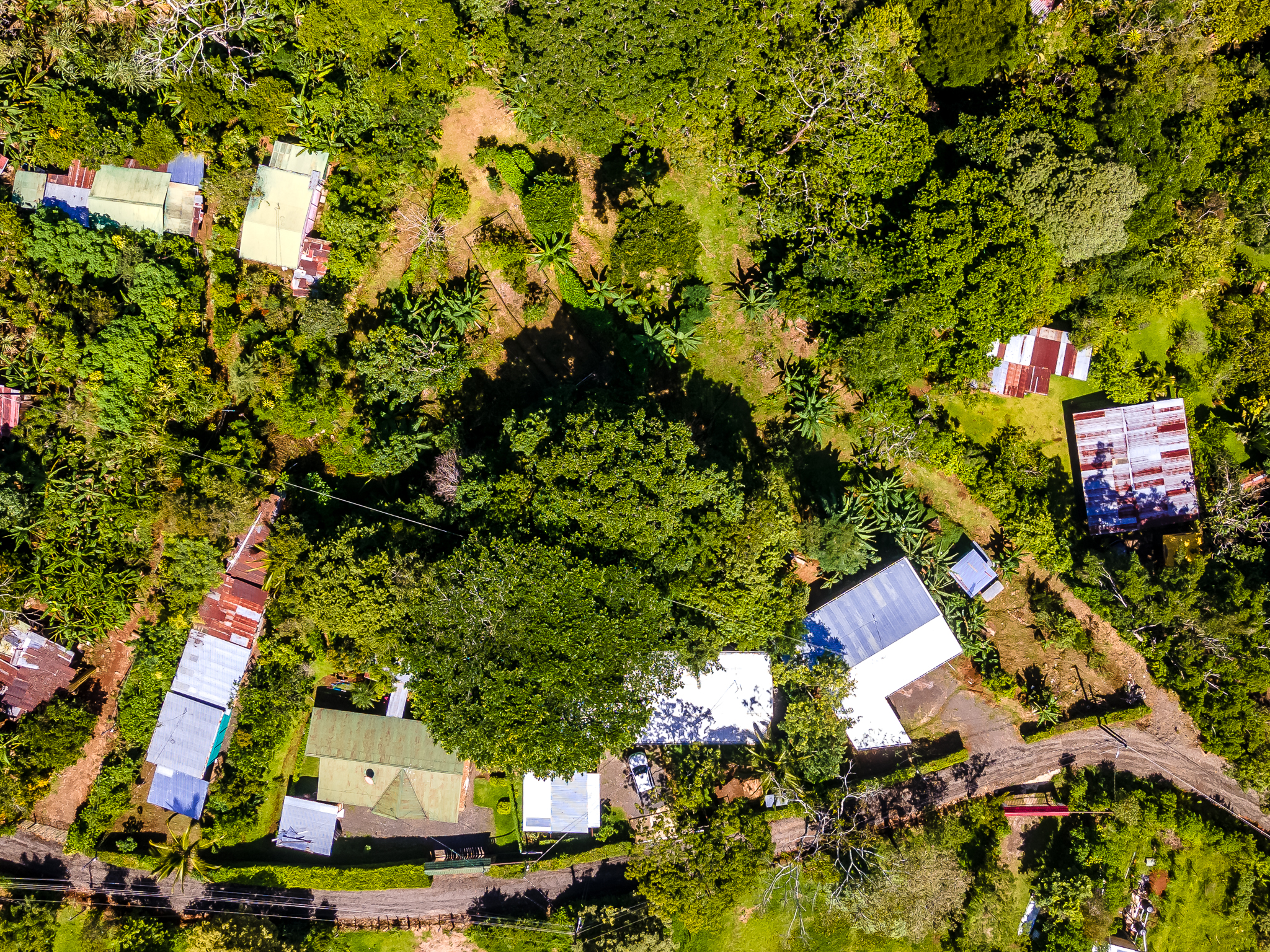 Palmichal Country Estate with 3 Houses and 1 Apartment