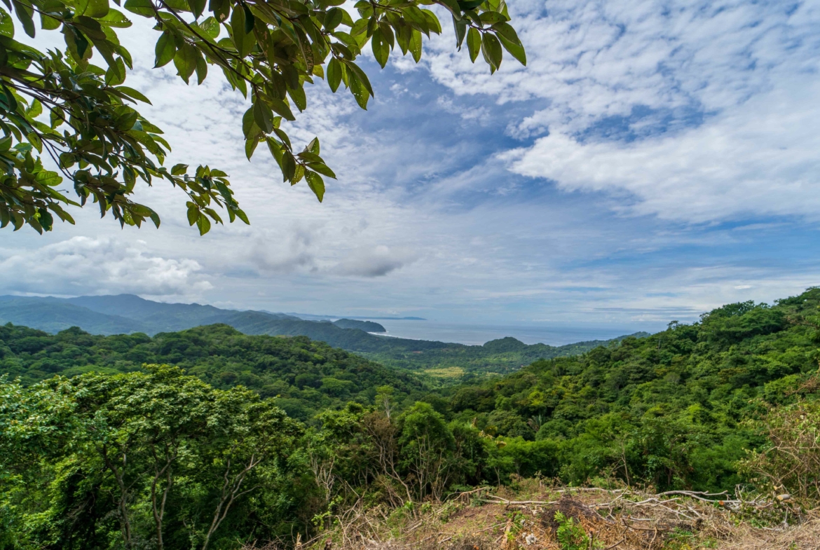 Ocean View Bosques de Playa Carrillo Homesite