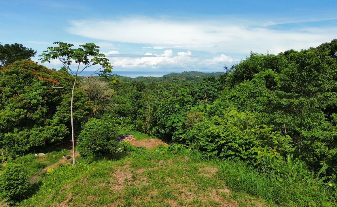 Ojochal Ocean View Lot with TWO building sites