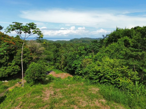 Ojochal Ocean View Lot with TWO building sites