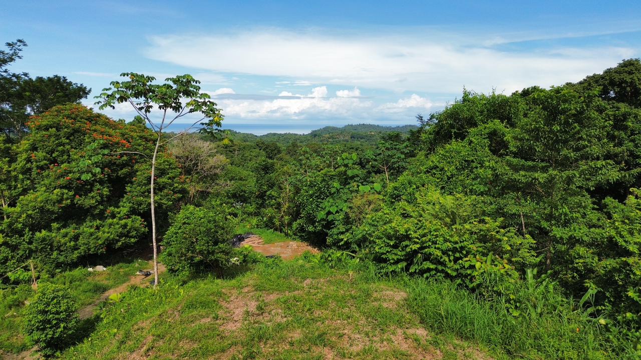 Ojochal Ocean View Lot with TWO building sites