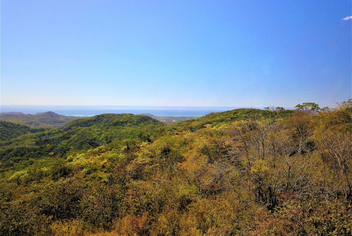 Large Nosarita Ocean View Lot