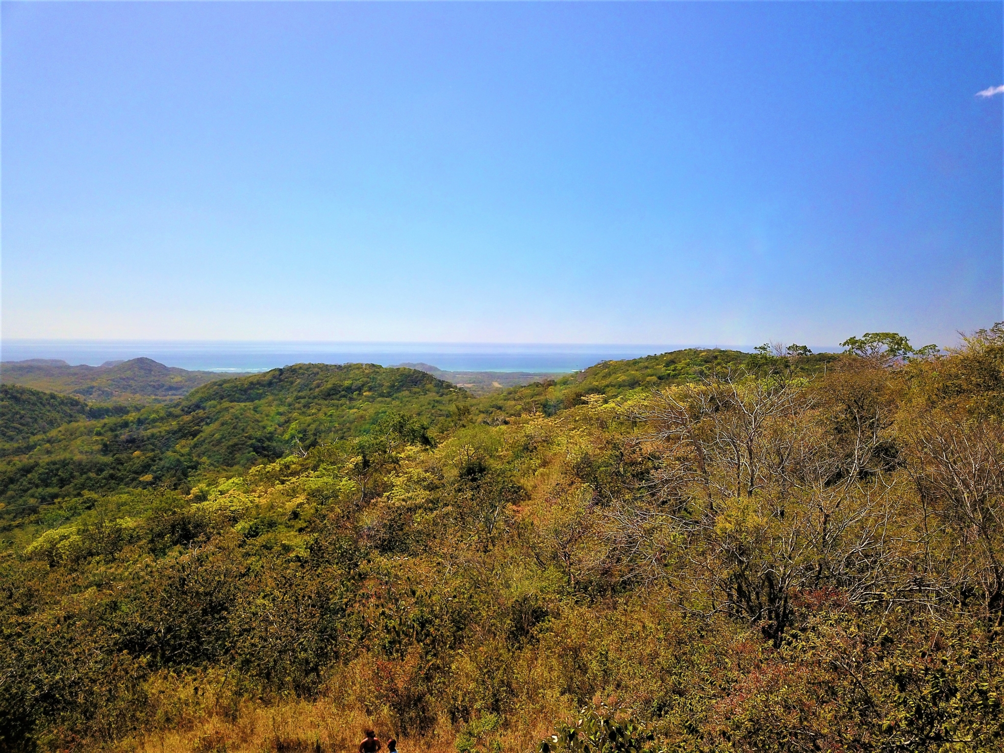 Large Nosarita Ocean View Lot