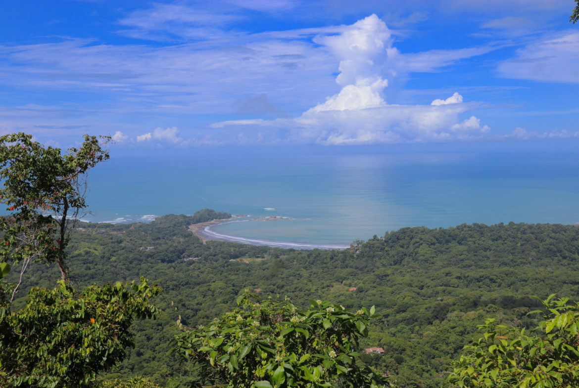 5 Acre 360º View Dominical Property with 1 BR House