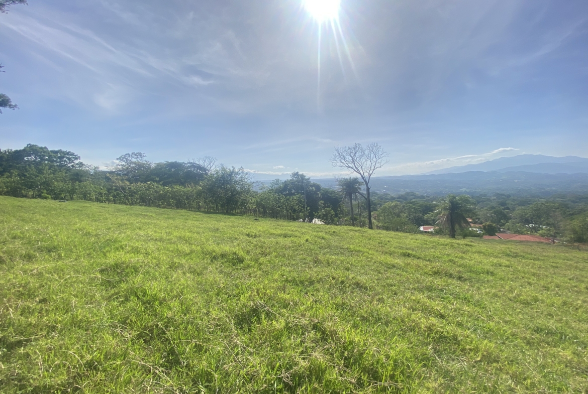 Atenas Development Project of 50 Lots