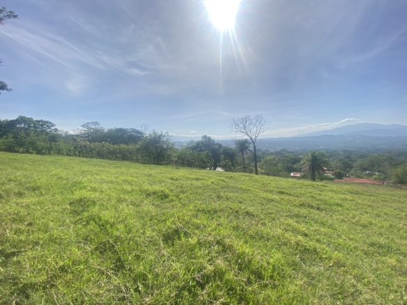 Atenas Development Project of 50 Lots