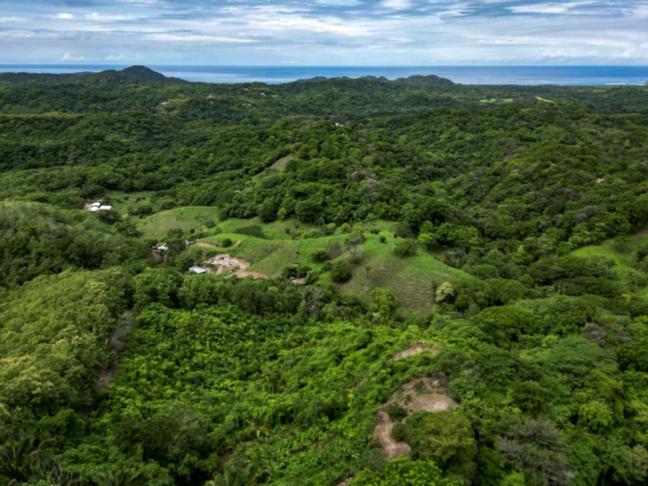 DJI_0233-1170x785_feature image_2