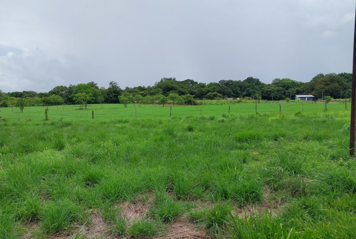 Liberia Volcano View Building Lot