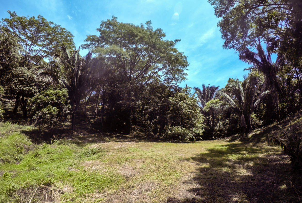 Samara Beach Nature Building Lot