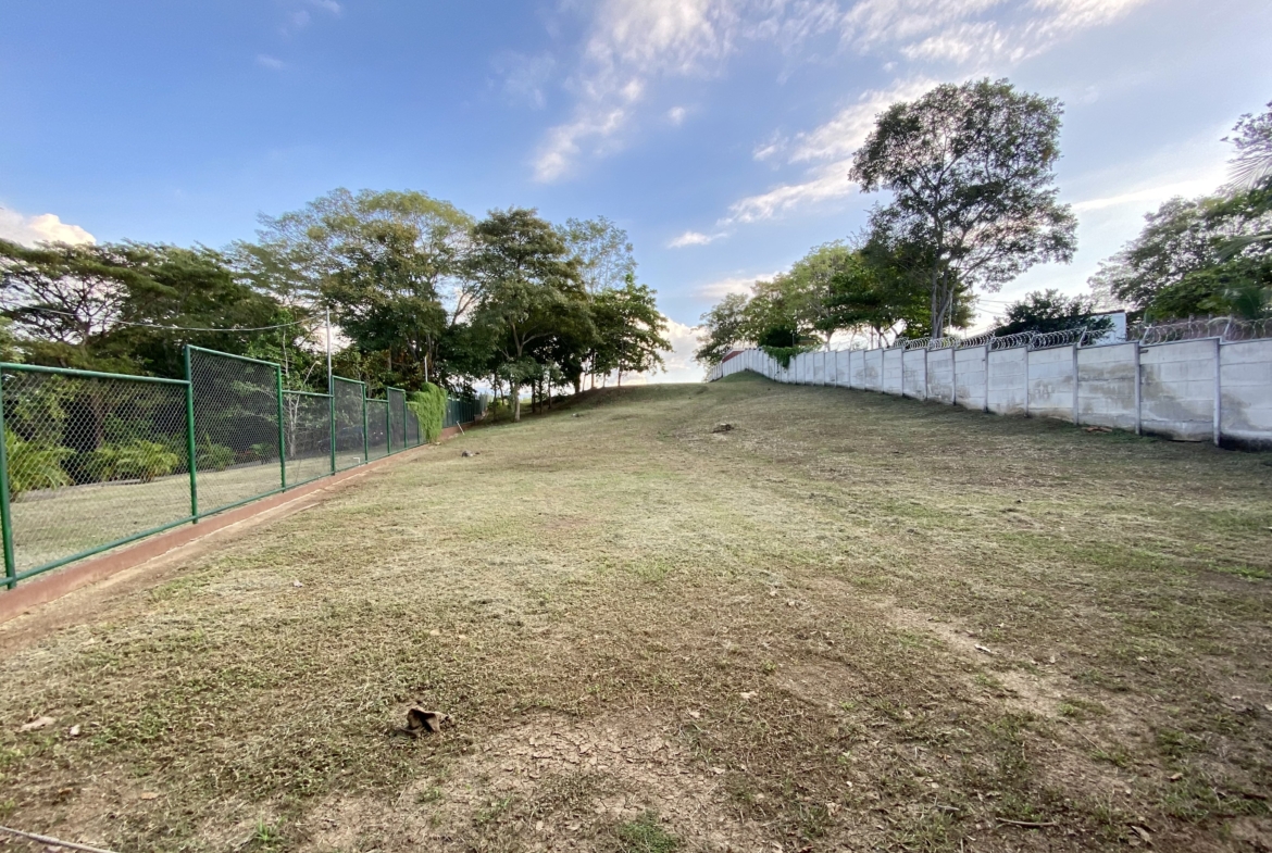 Panoramic View Lot On Guacalillo Macaw Nesting Grounds