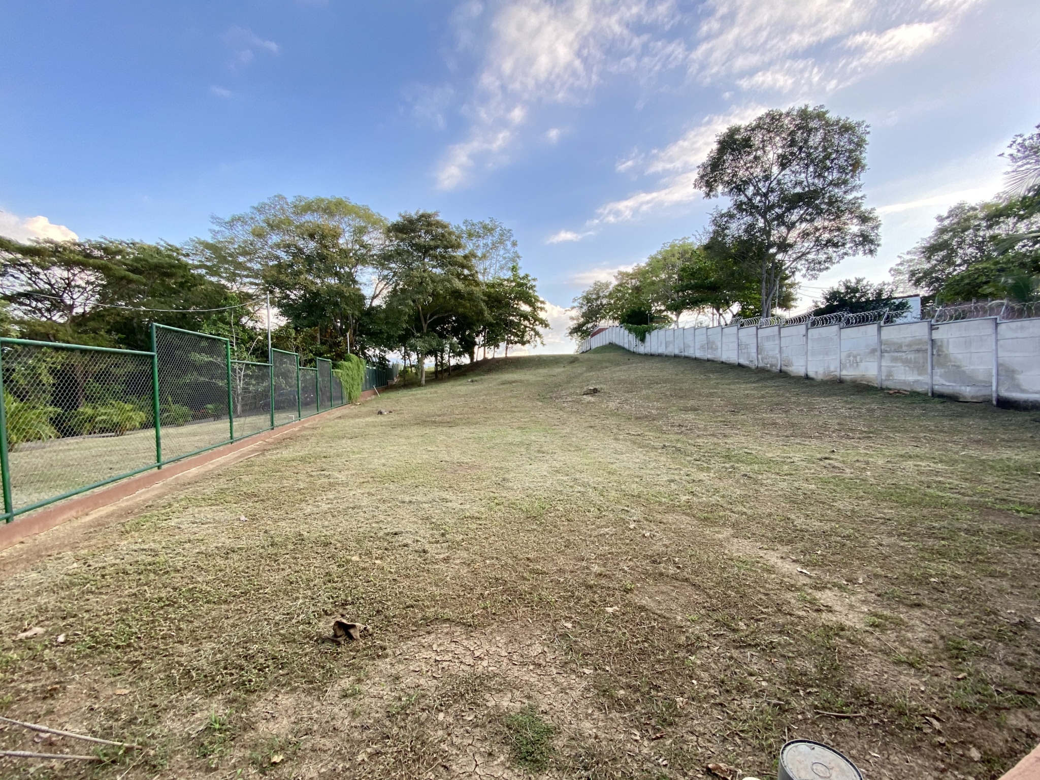 Panoramic View Lot On Guacalillo Macaw Nesting Grounds