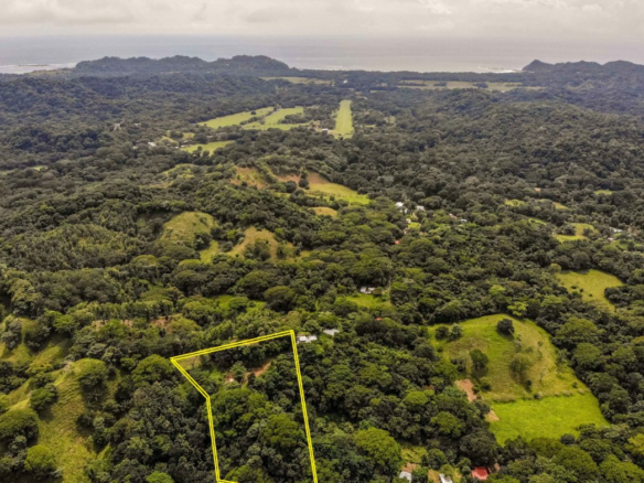 20191030-DJI_0255-21072022-1170x785