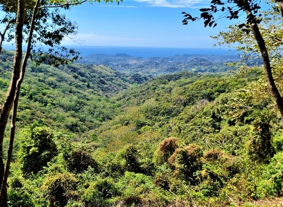 Master planned 77 Acre Ocean View Finca Samara Hill Estates