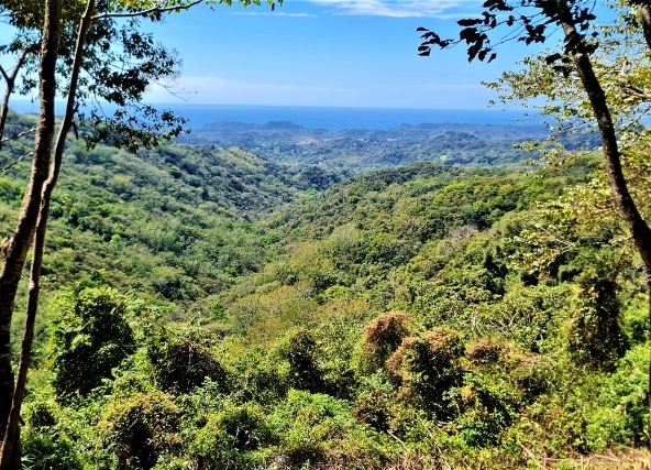 Master planned 77 Acre Ocean View Finca Samara Hill Estates