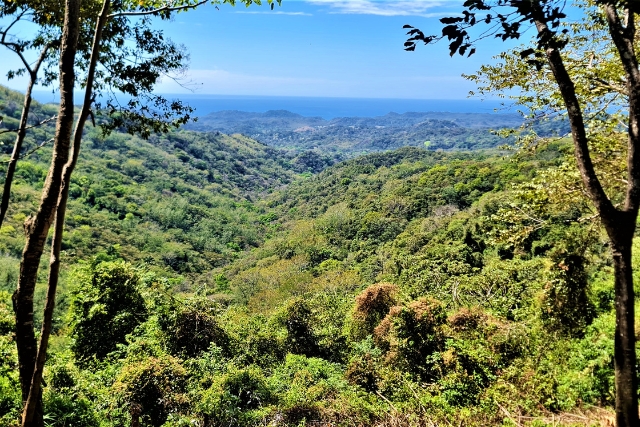 Master planned 77 Acre Ocean View Finca Samara Hill Estates