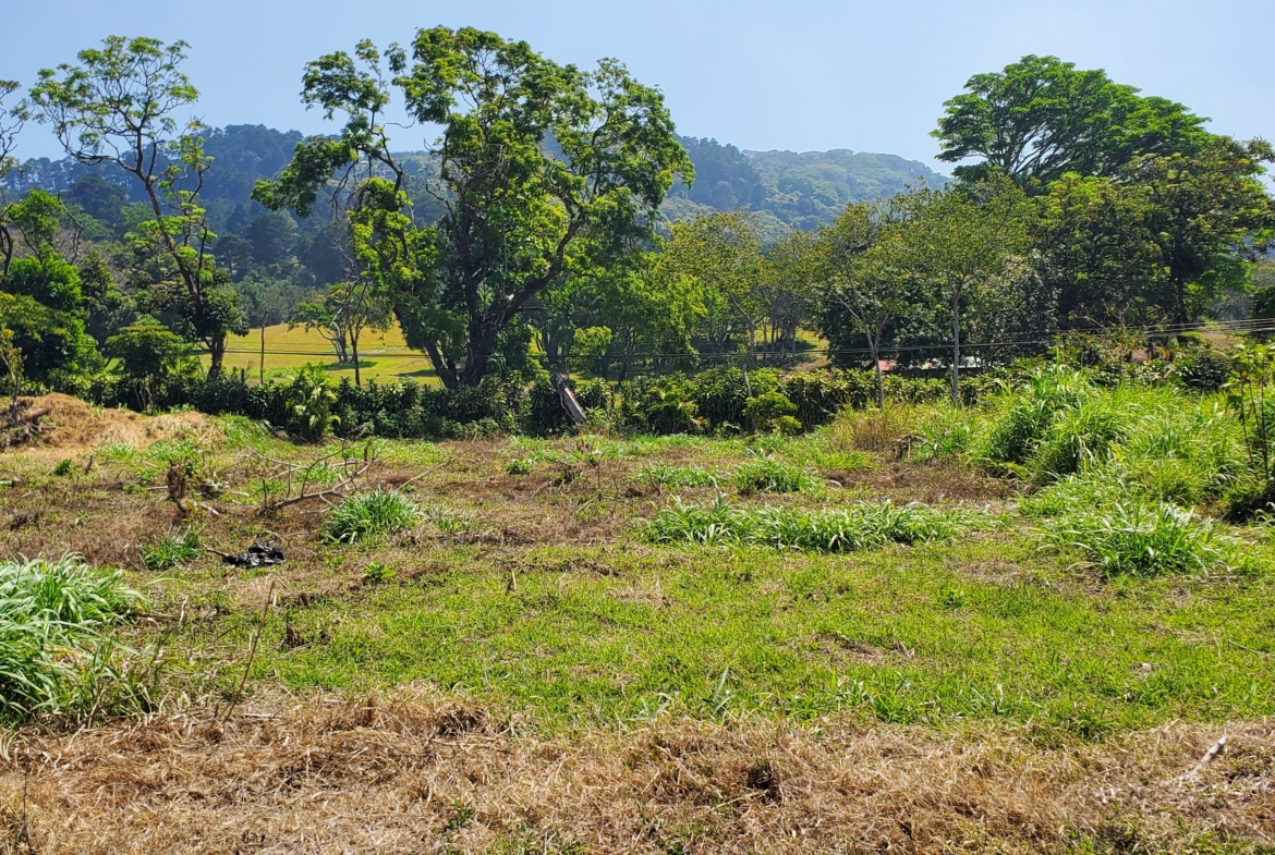 Birri de Heredia Flat Building Lot in gated community