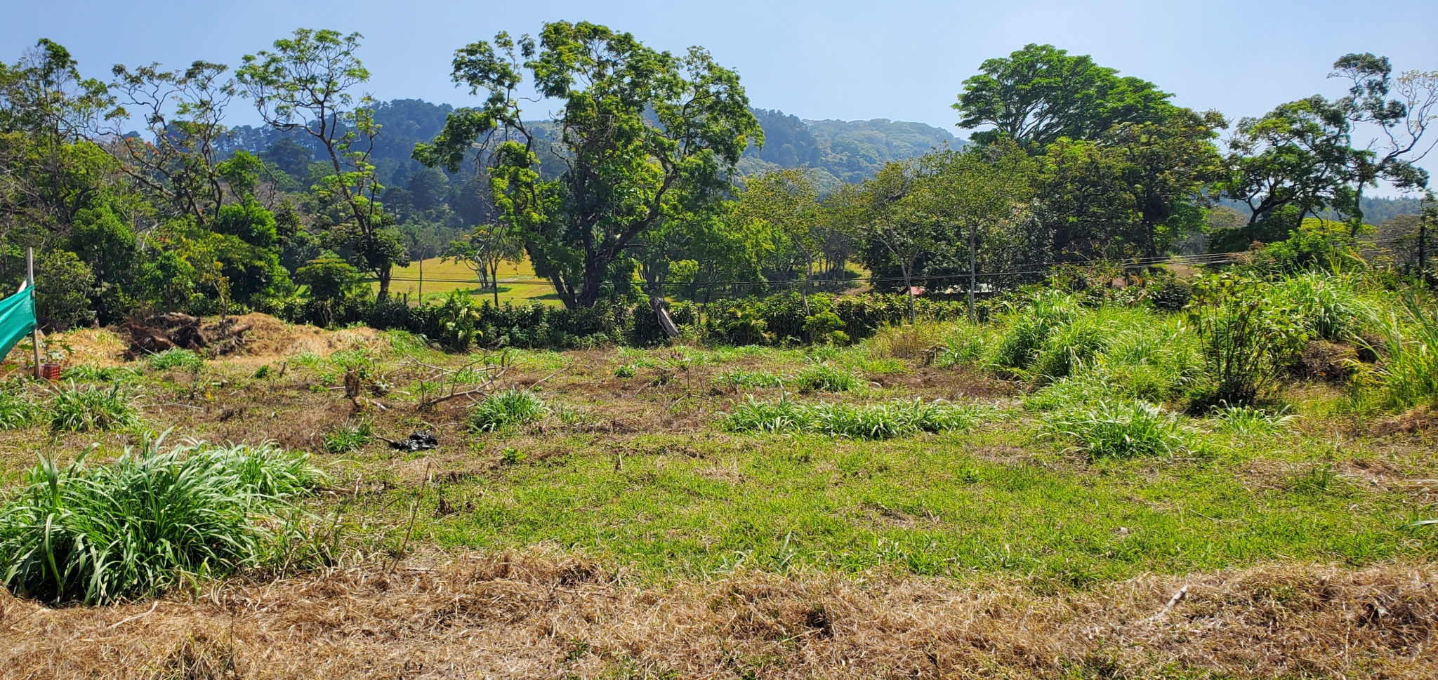 Birri de Heredia Flat Building Lot in gated community